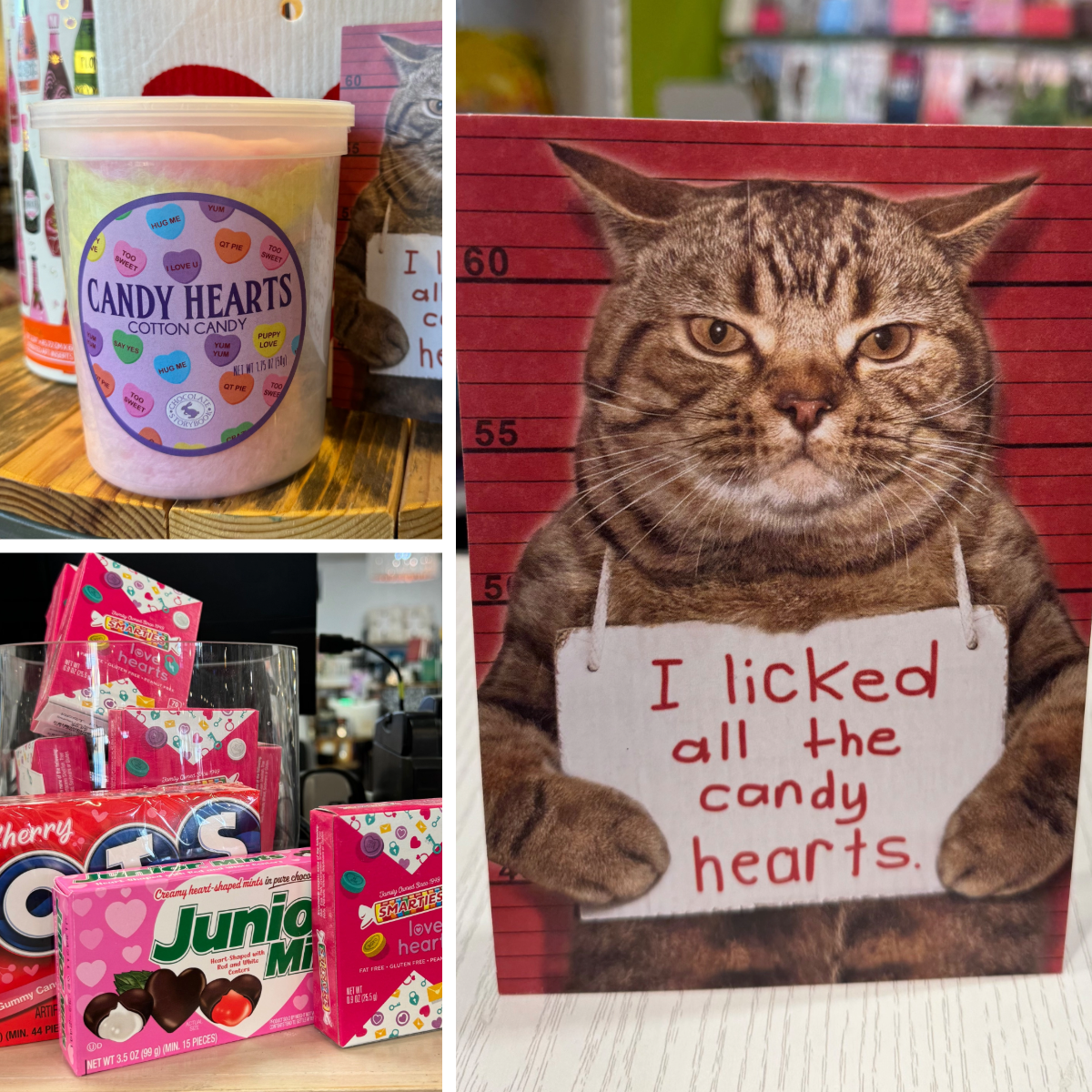 Valentine's Gift Idea for Cat Lover with Funny Card